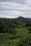 IMG_0356