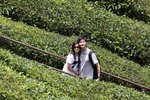 IMG_0454