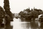 IMG_8625