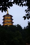 IMG_9451