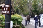 櫻花一定好靚, 紅葉就未開齊 IMG_5487