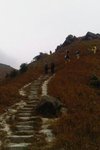 IMG00830-20101211-1113
