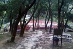 IMG00834-20101211-1125