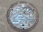 收集渠蓋相 IMG_1791