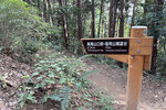 途中都見不少人跑山, 高尾山有幾條路上落 IMG_1816