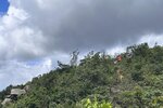 IMG_7135