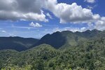 IMG_7136