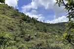 IMG_7139