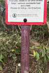 中狗牙入口 IMG_1434