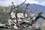 2024_Shikoku_Day3 (41)