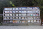 有 "日本城" 2024_Shikoku_Day3 (76)