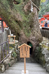 2024_Shikoku_Day3 (78)