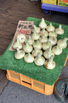 洋蔥是淡路島特產 2024_Shikoku_Day5 (23)