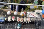 西灣 IMG_1559