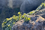 IMG_1744