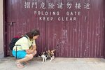 IMG_5178