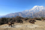 NepalMBC_D04 (147)