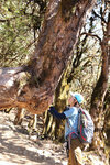 NepalMBC_D04 (91)