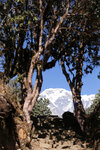 NepalMBC_D04 (96)