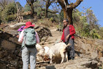 NepalMBC_D06 (75)