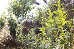 NepalMBC_D06 (76)