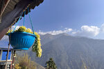 NepalMBC_D06 (80)