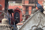 NepalMBC_D10 (30)