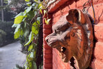 NepalMBC_D10 (4)