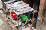 NepalMBC_D10 (8)