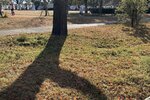 IMG_3200