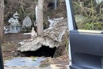 或是條橘鋪得厚厚 Tohoku2025D10  (37)