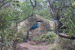 IMG_9613