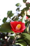 IMG_1678