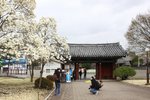 1500won 入場 IMG_9485