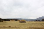 IMG_9526