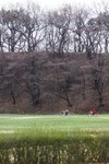 IMG_9535