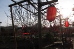 2013_feb (104)