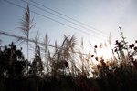 2013_feb (107)