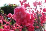 2013_feb (92)