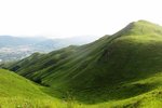 IMG_0557