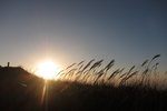 IMG_1561