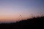 IMG_1596