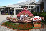 IMG_9178
