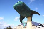 IMG_9179