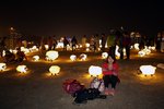 IMG_7859