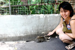 去 Phaya Thai時, 用 google 行小路, 經過住宅式的內街, 見這隻小貓 IMG_0660