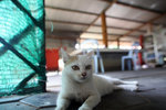 IMG_1394