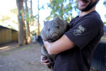 Wombat IMG_9402