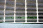 IMG_9751