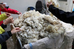 話說羊毛為NZ$20. IMG_3159